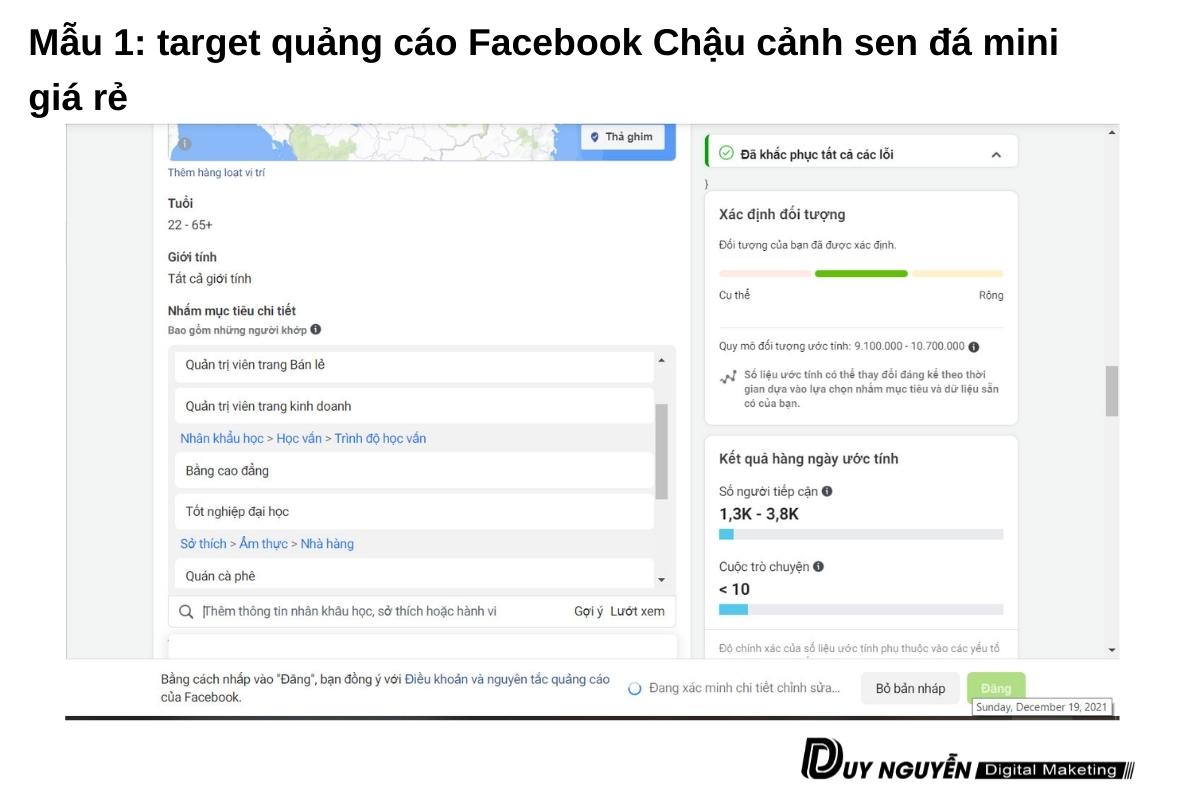 mẫu 1 target chậu sen đá mini