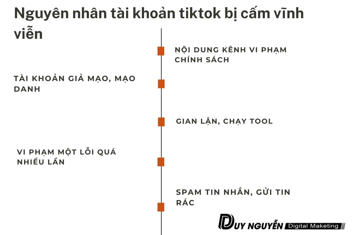 nguyên nhân tài khảon của bạn bị cấm vĩnh viễn