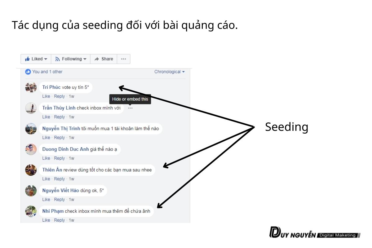 hướng dẫn seeding cho quảng cáo facebook