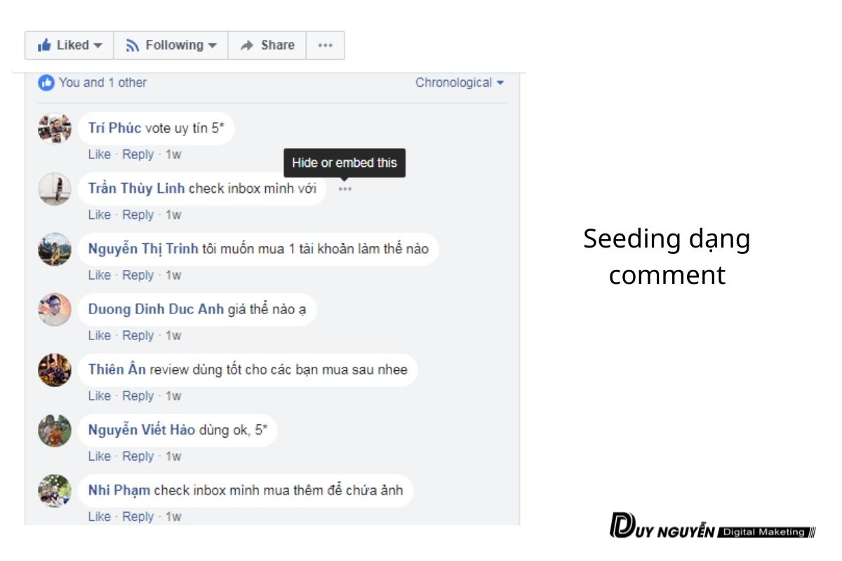 seeding dạng comment