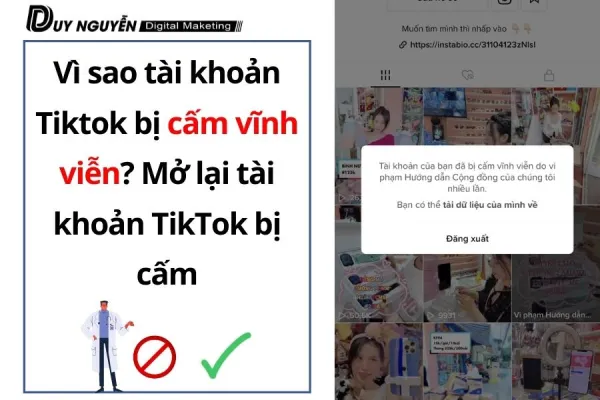 Vì sao tài khoản tiktok bị cấm vĩnh viễn? Cách mở lại tài khoản TikTok bị cấm