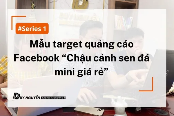 Series 1: Mẫu target quảng cáo Facebook “Chậu cảnh sen đá mini giá rẻ”