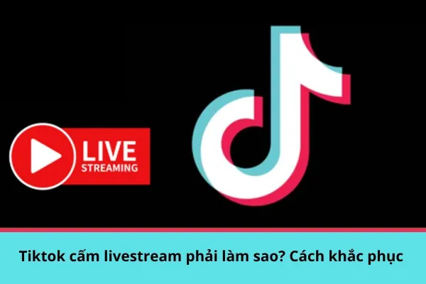 Tiktok cấm livestream phải làm sao? Cách khắc phục 