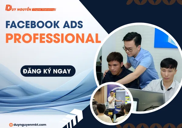 Facebook ADS professional 